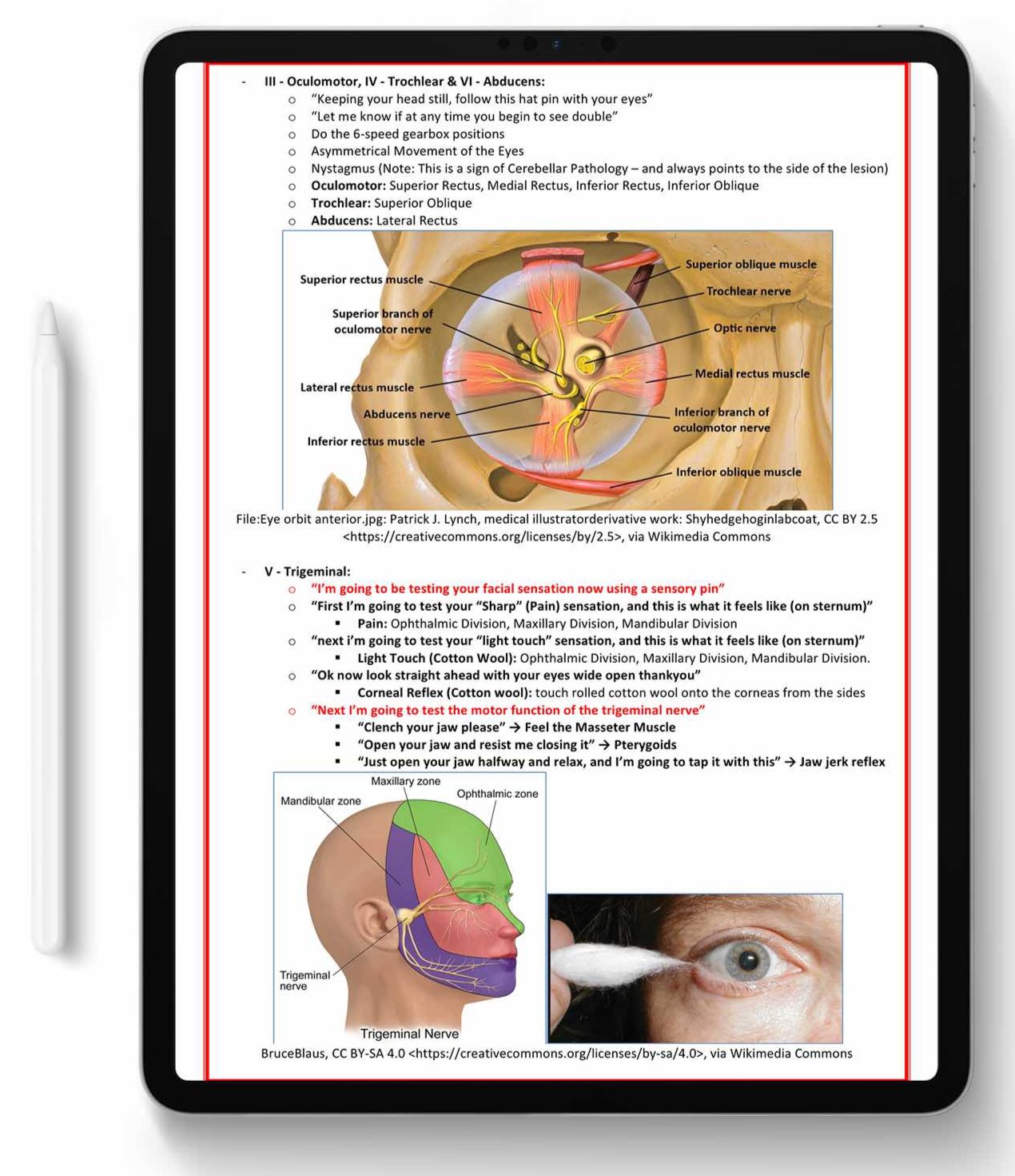 ALL 21 SUBJECTS (80% OFF BUNDLE)