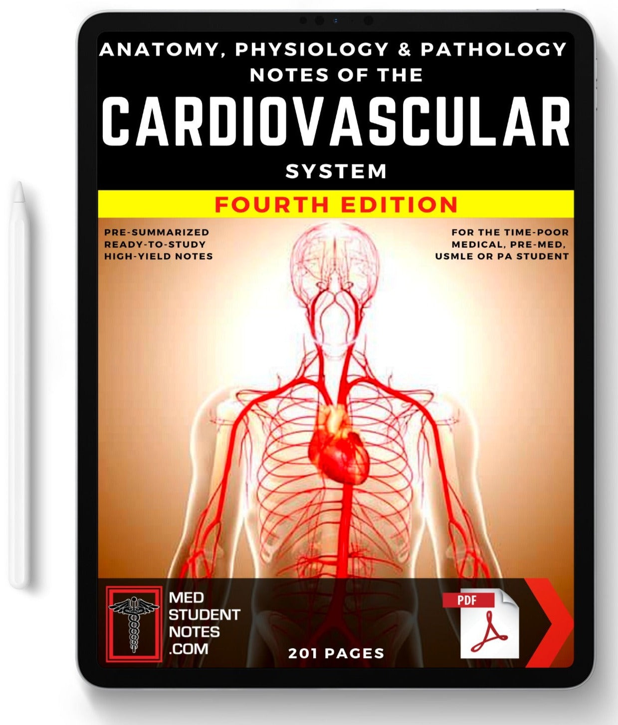 Cardiovascular Notes MedStudentNotes