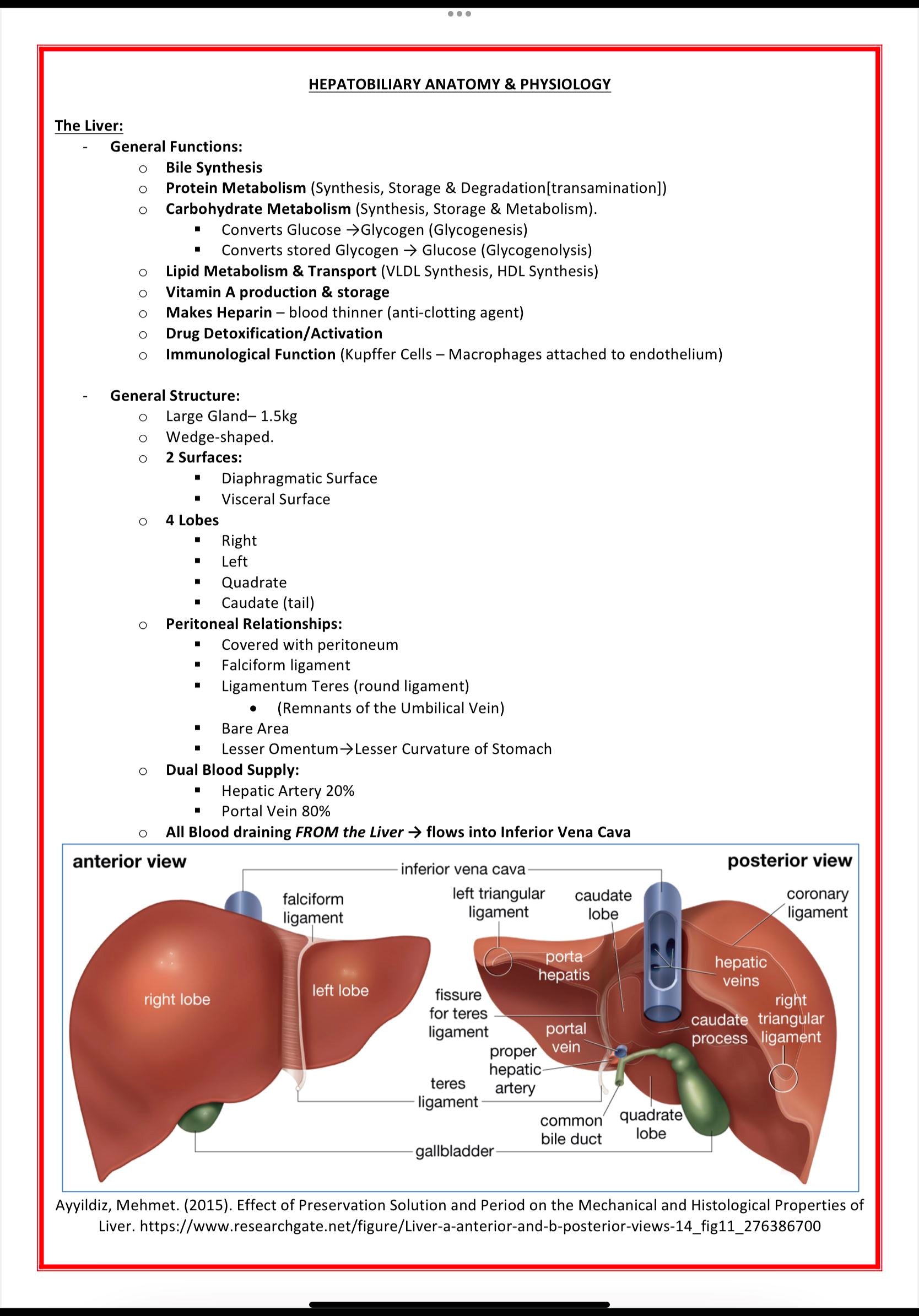 Gastrointestinal Medicine MedStudentNotes