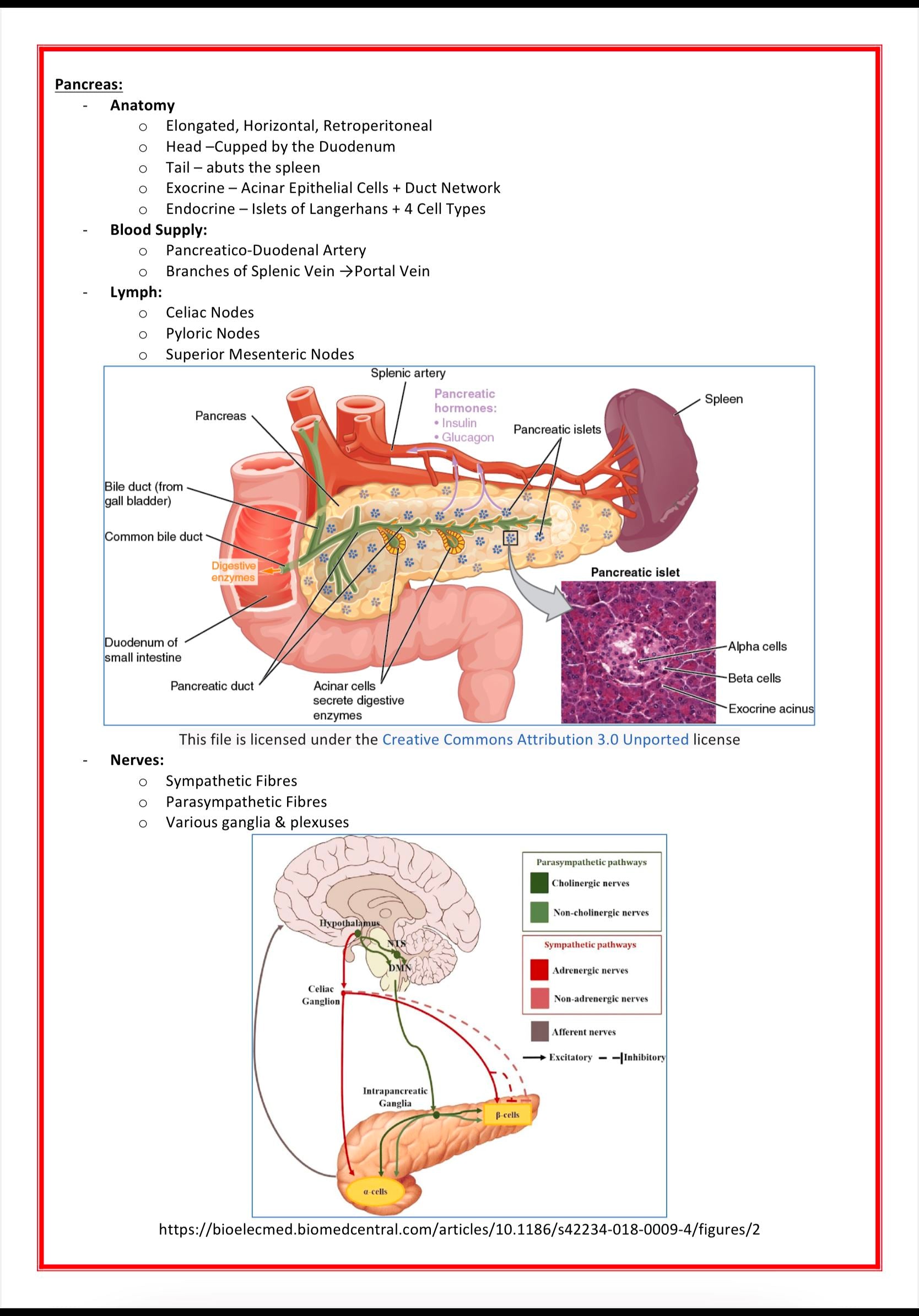 Gastrointestinal Medicine MedStudentNotes