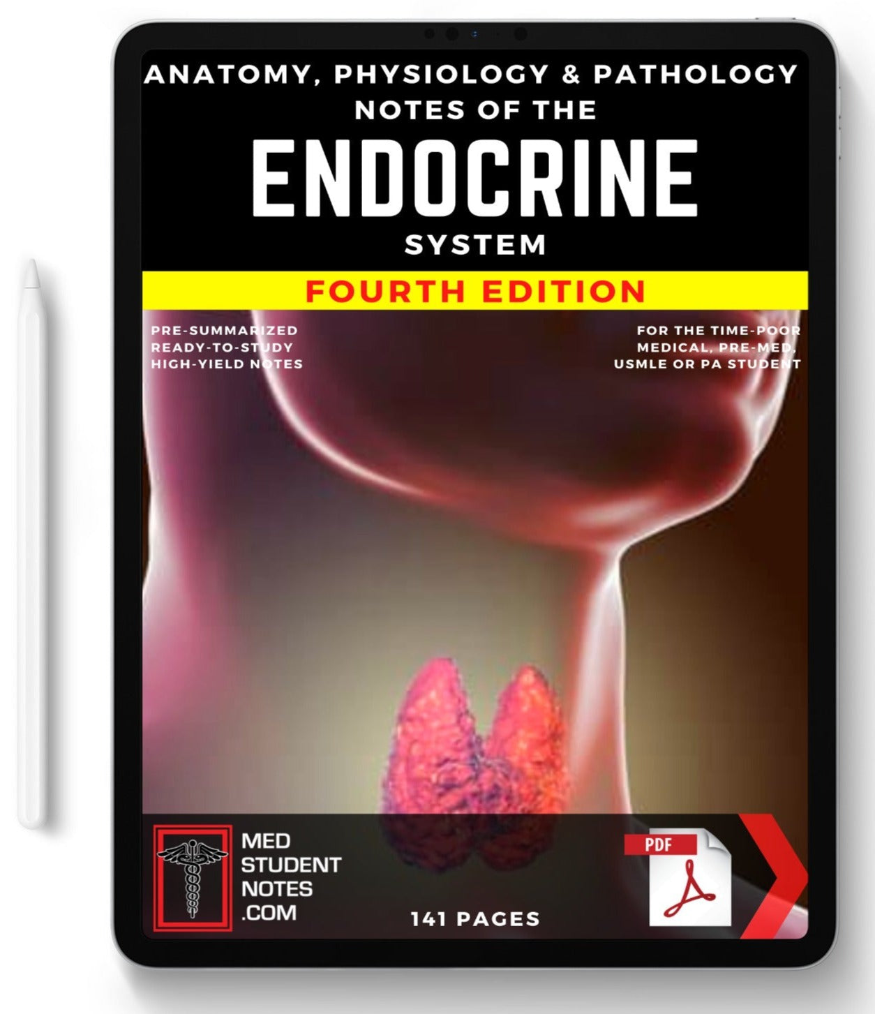 The Endocrine System MedStudentNotes