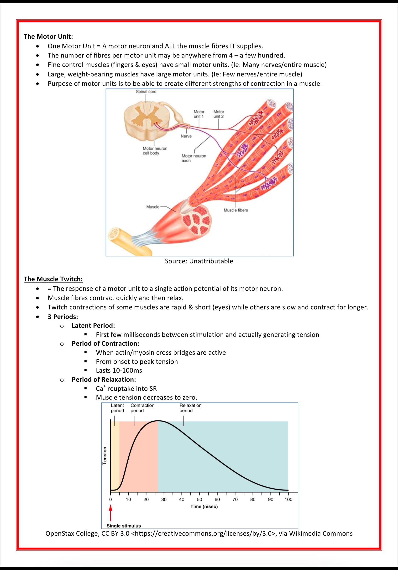 The Musculoskeletal System MedStudentNotes