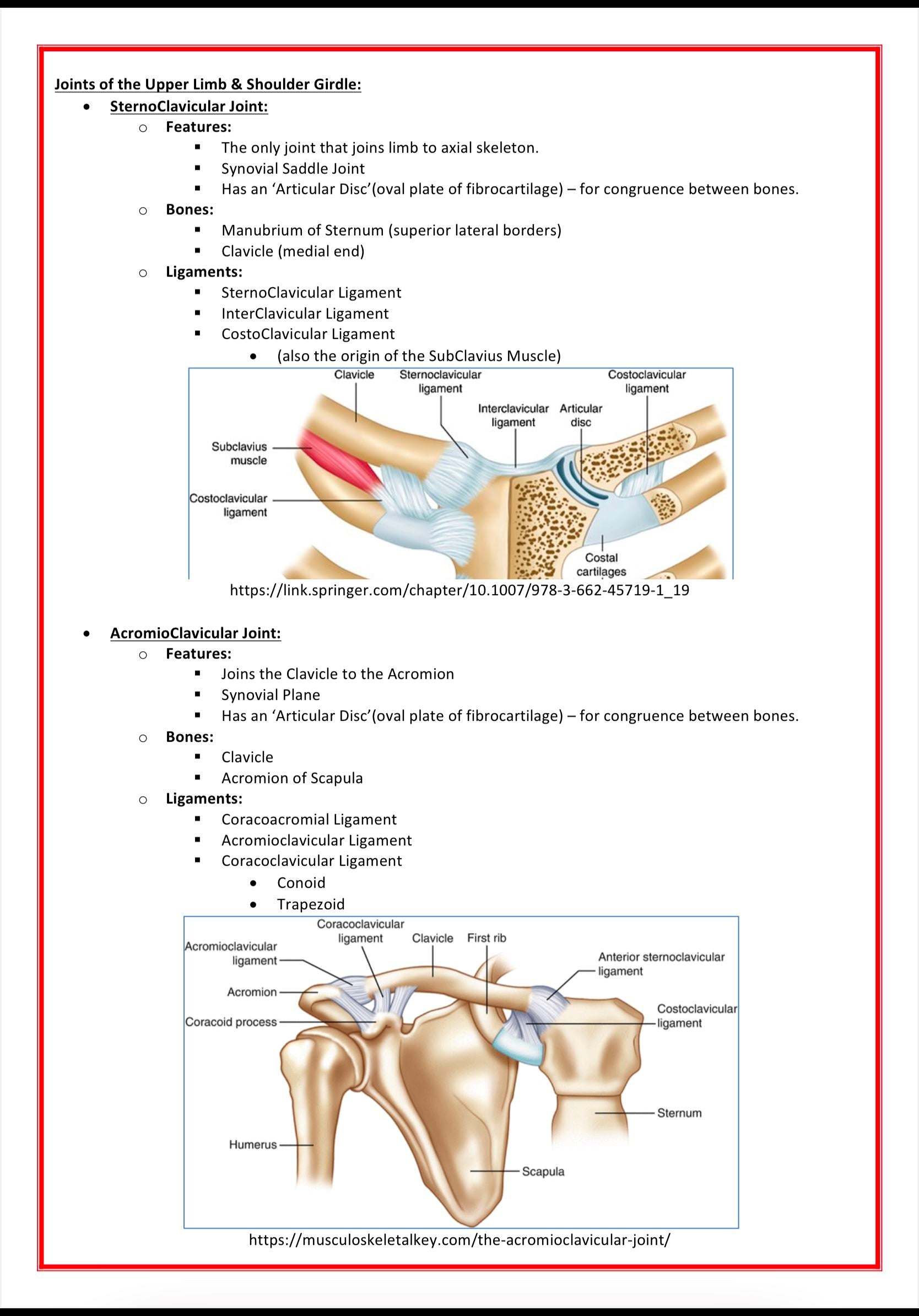 The Musculoskeletal System MedStudentNotes
