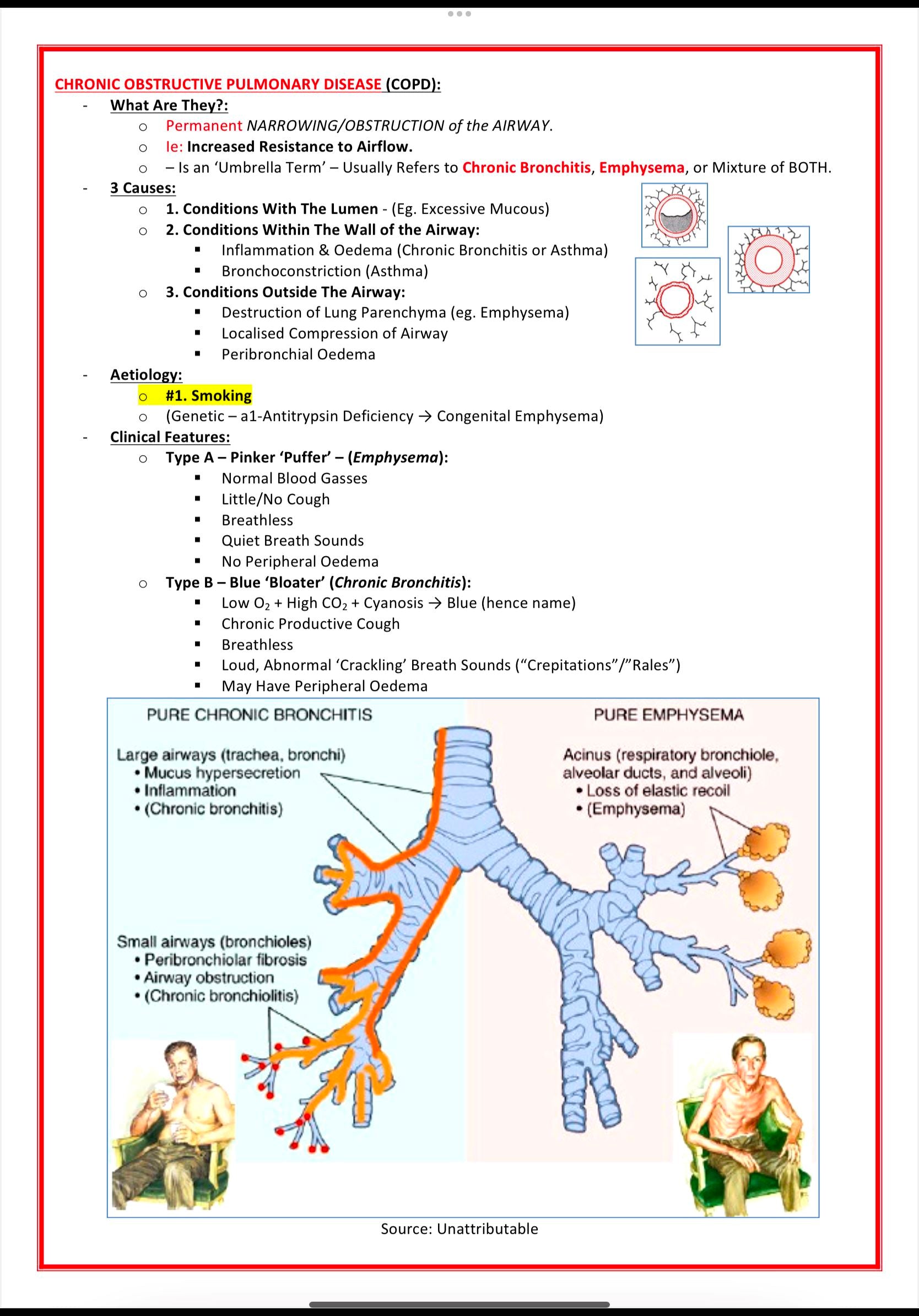 The Respiratory System MedStudentNotes