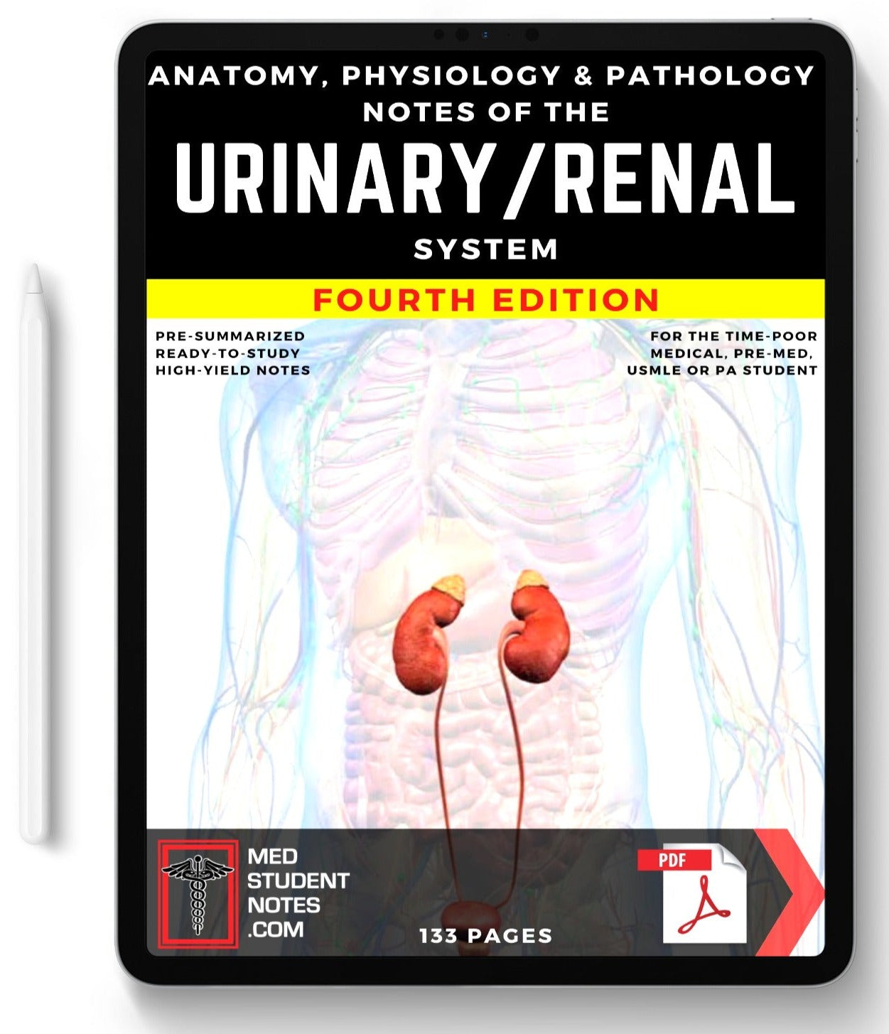 Urinary / Renal System MedStudentNotes