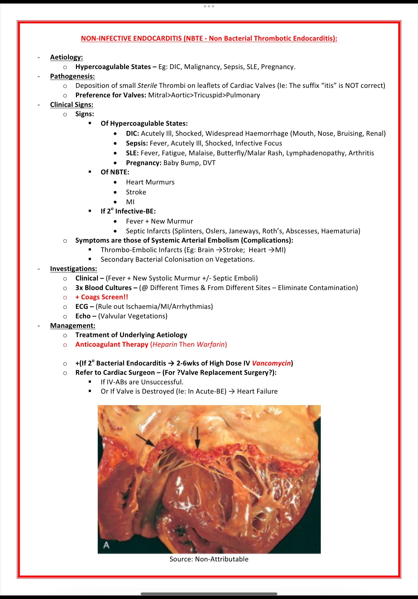 Cardiovascular Notes MedStudentNotes