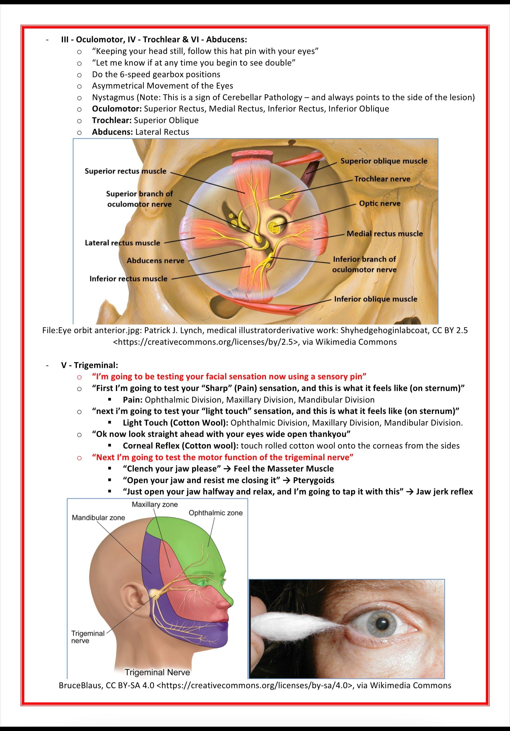 Clinical Skills & Examinations MedStudentNotes