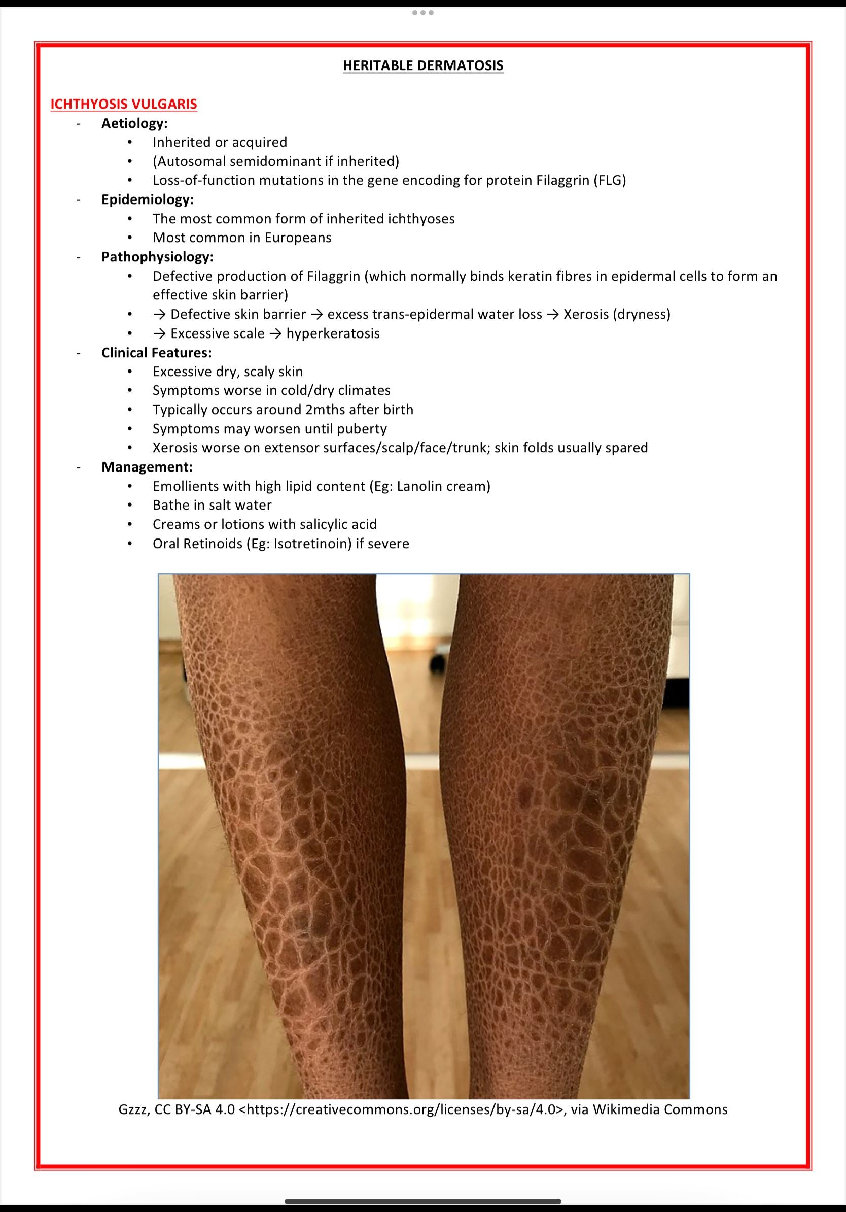 Dermatology Notes MedStudentNotes