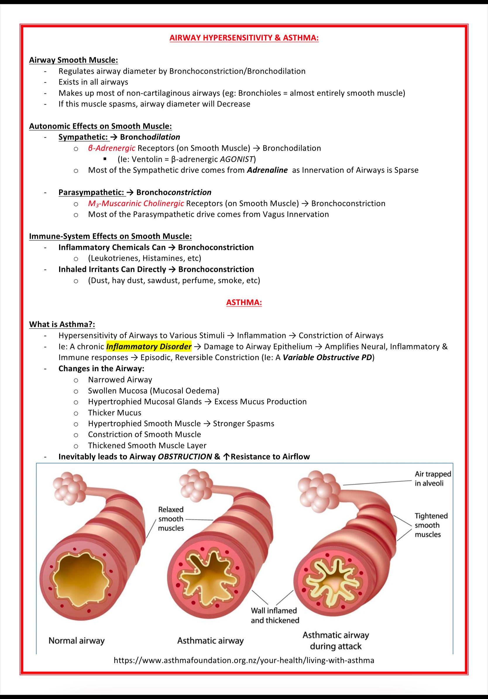 Emergency Room Medicine MedStudentNotes