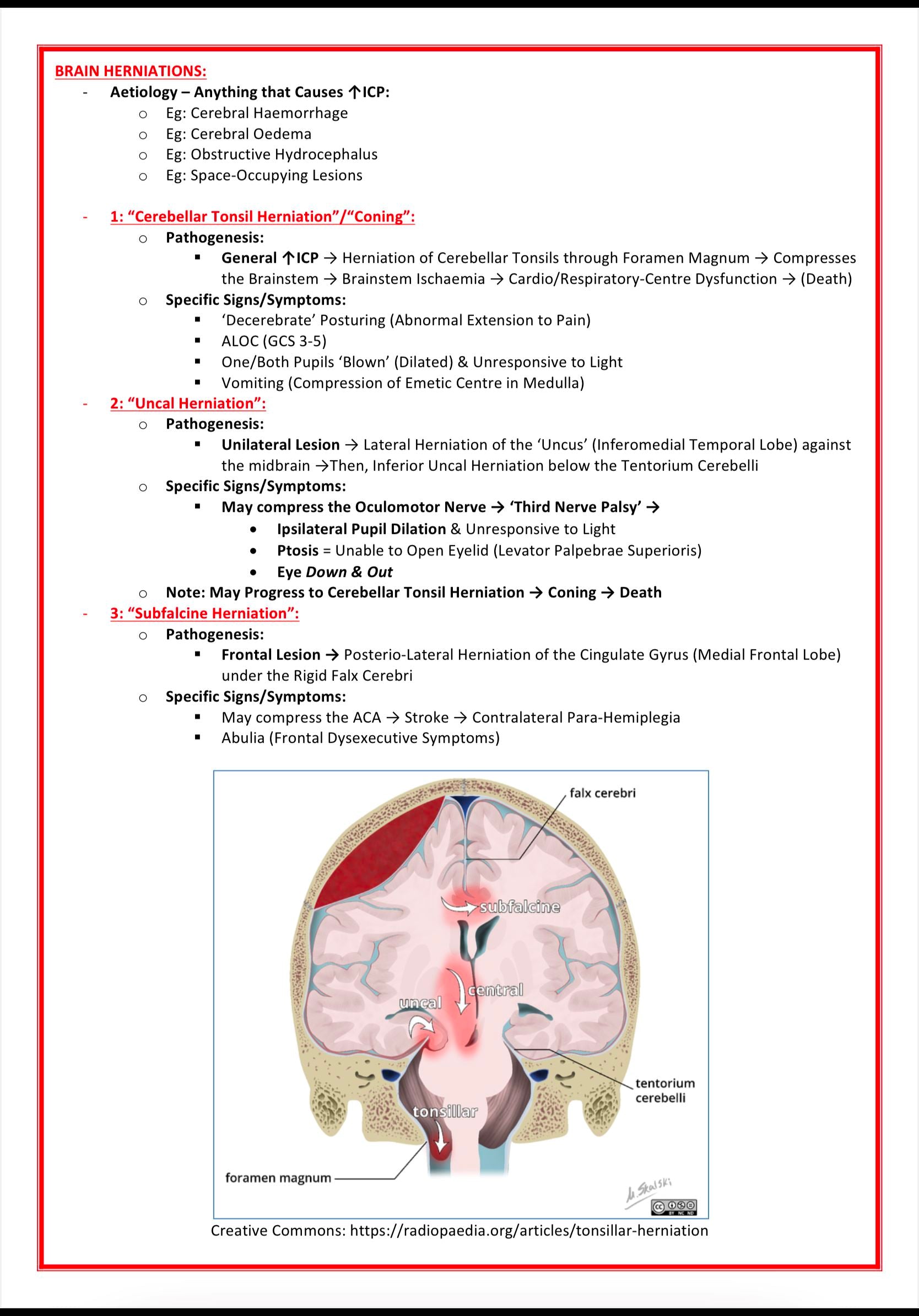 Emergency Room Medicine MedStudentNotes