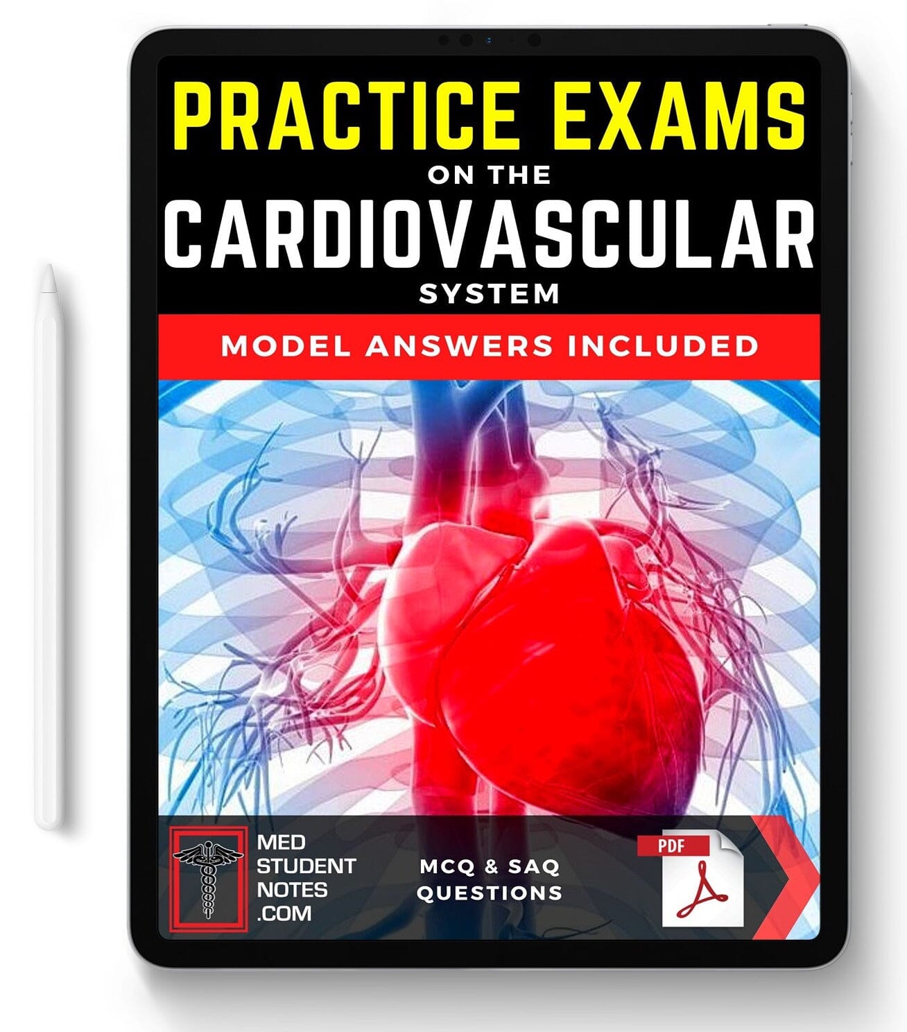 Exams: Cardiovascular MedStudentNotes