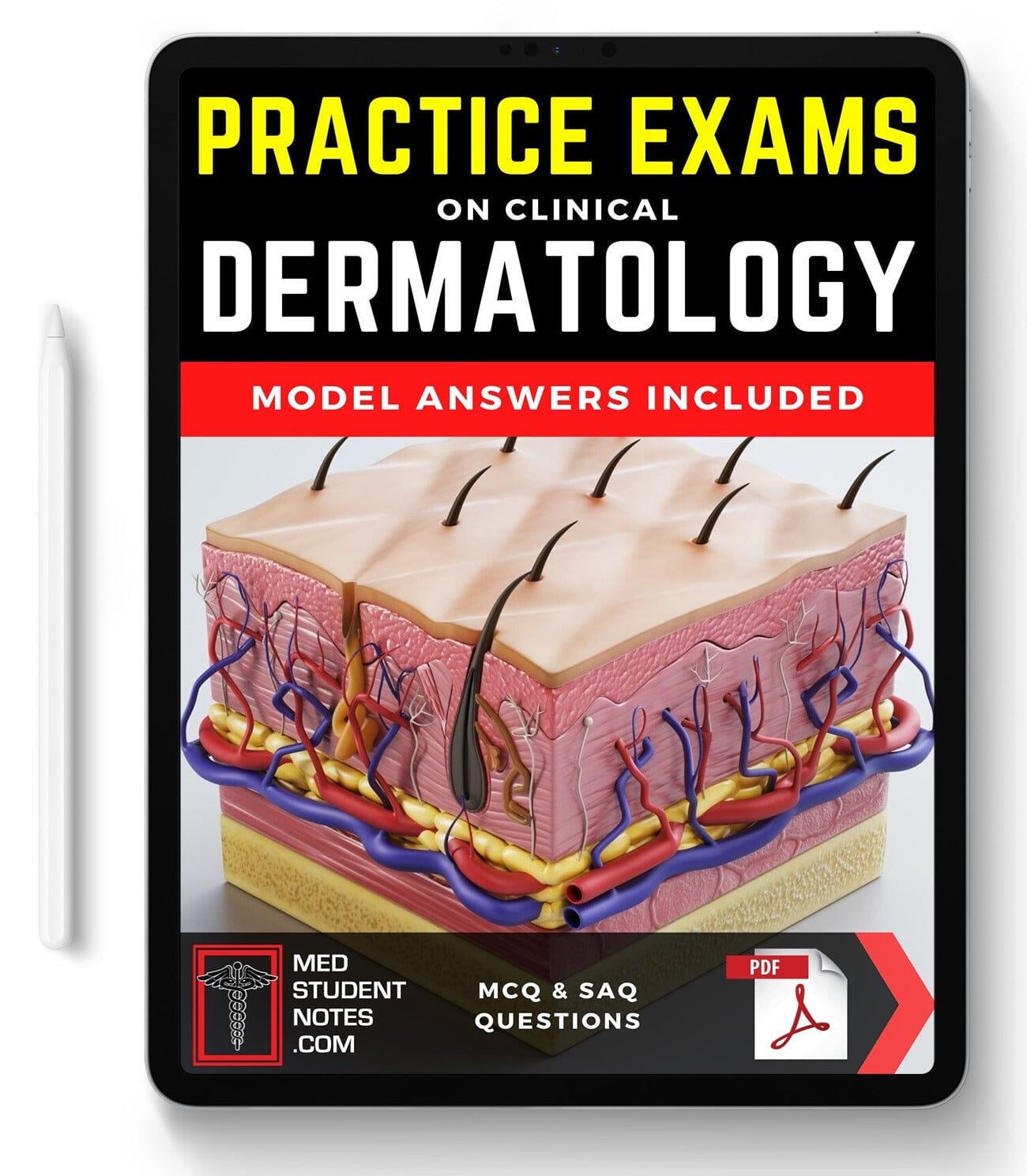 Exams: Dermatology MedStudentNotes