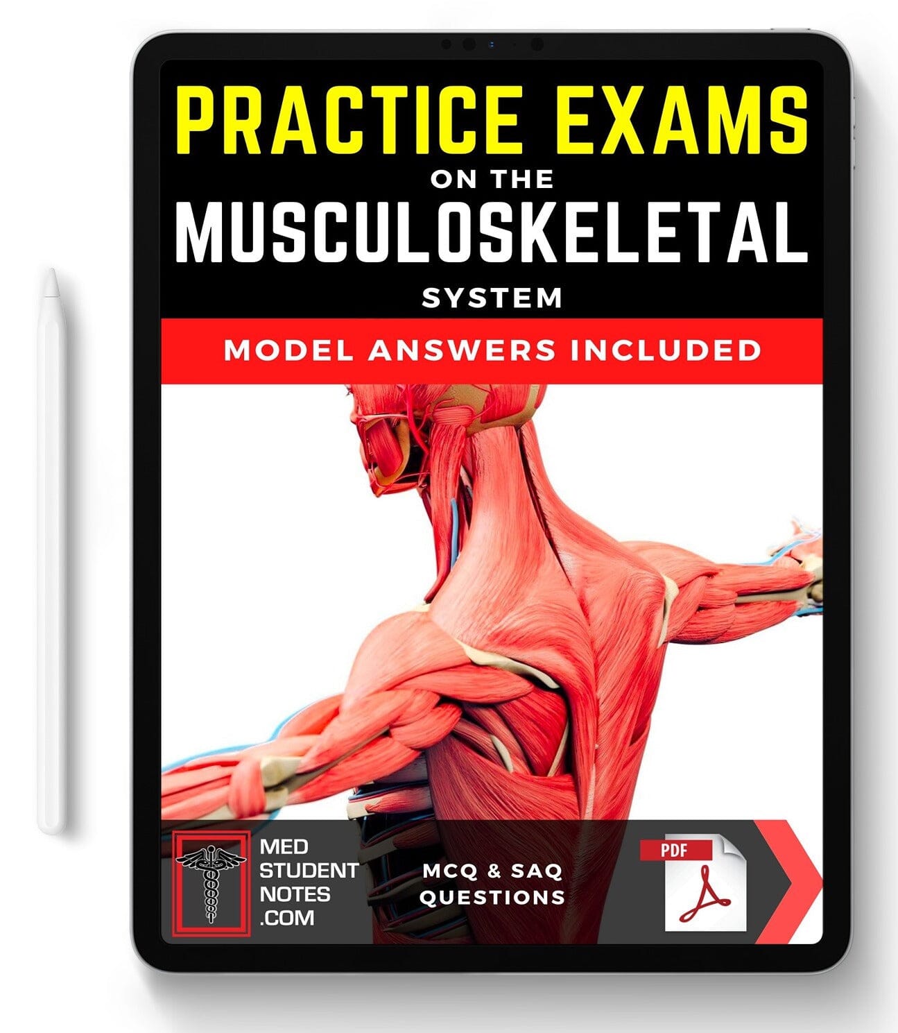 Exams: Musculoskeletal MedStudentNotes