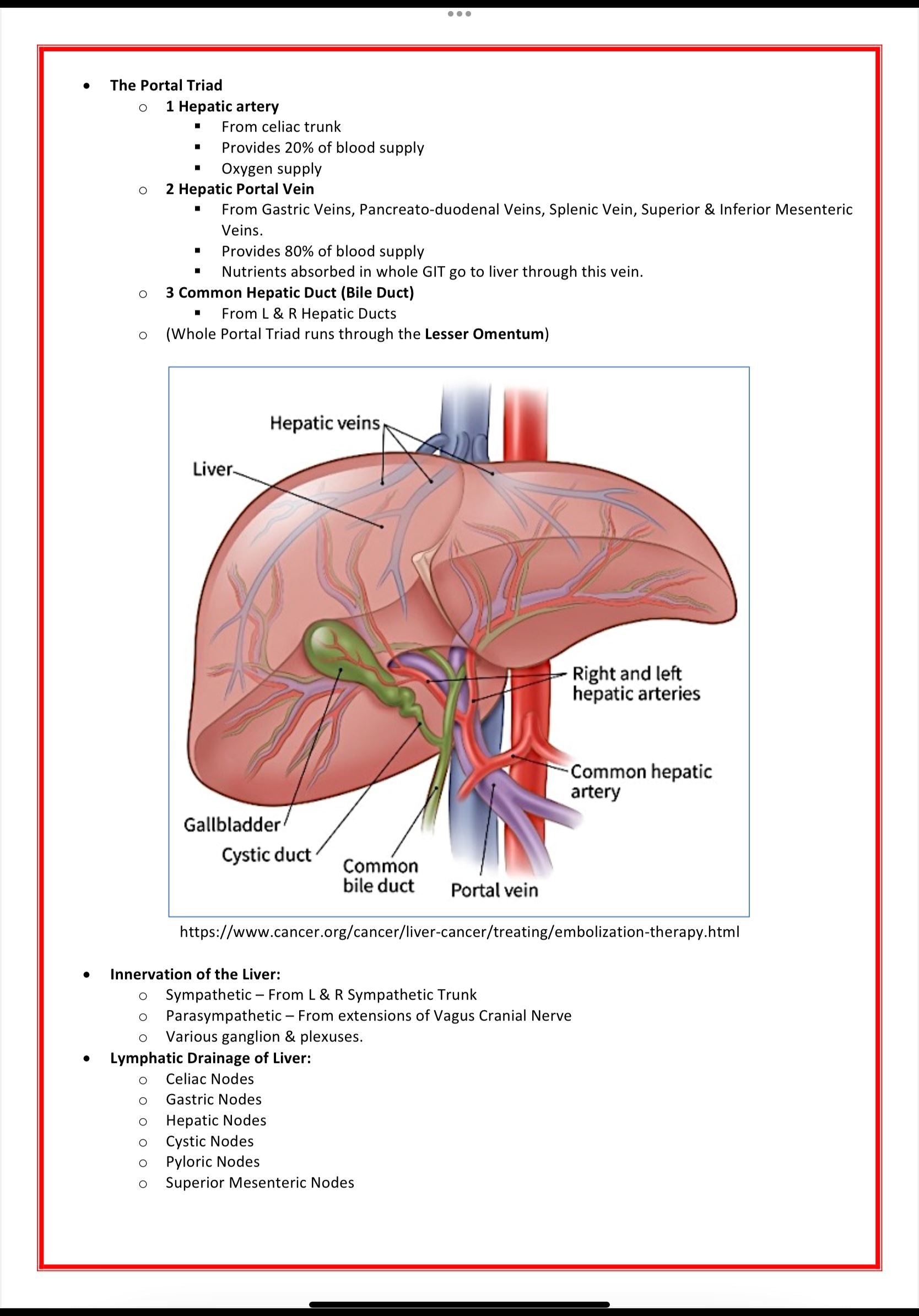Gastrointestinal Medicine MedStudentNotes