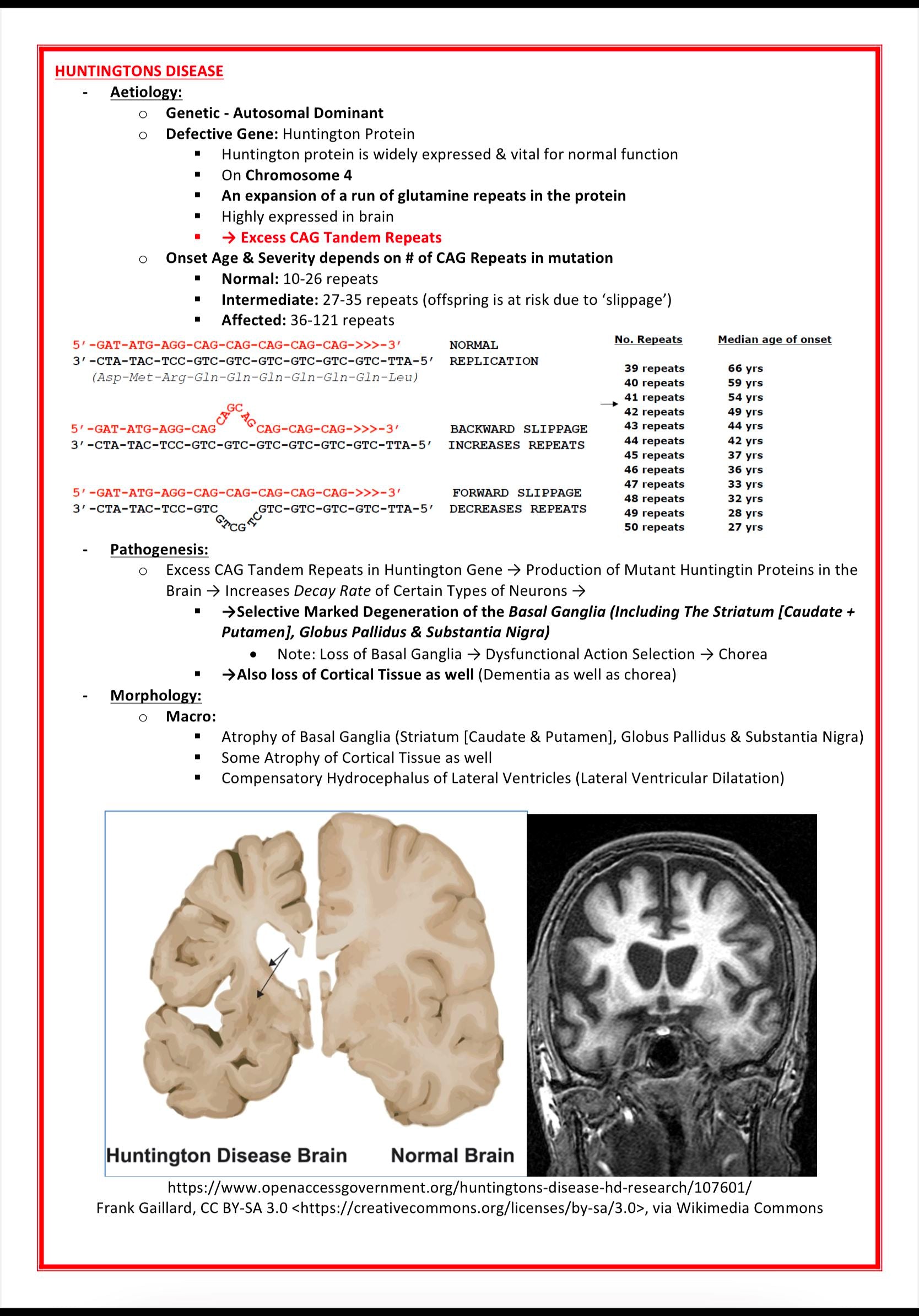 Genetics & Cancer MedStudentNotes