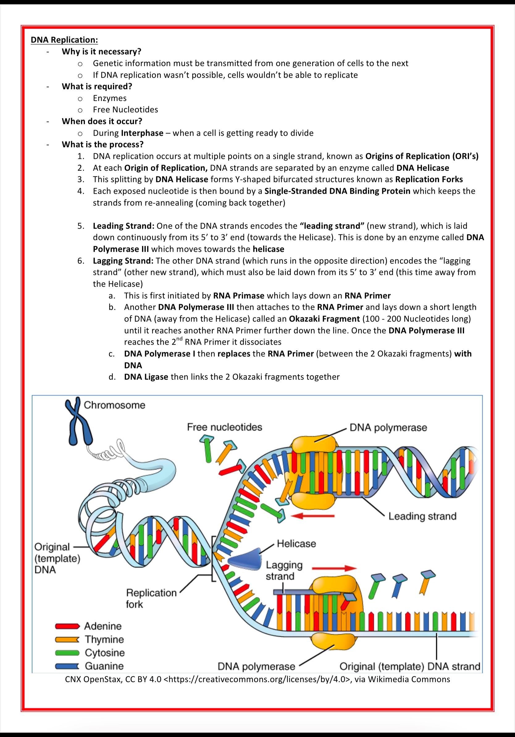 Genetics & Cancer MedStudentNotes