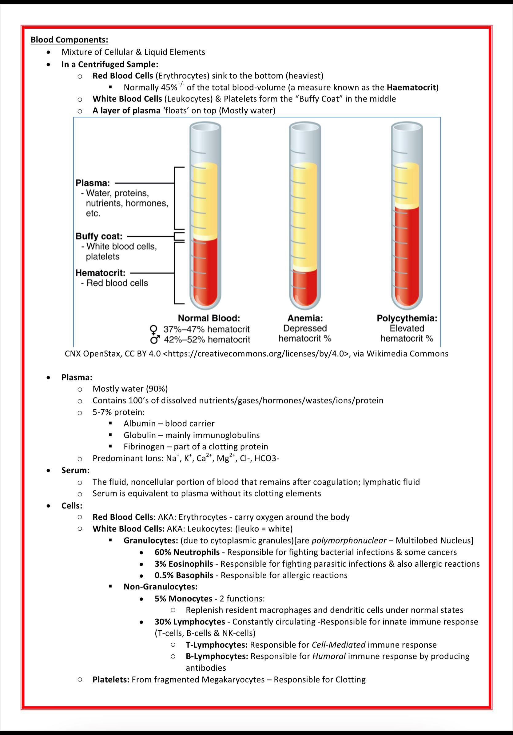 Haematology Notes MedStudentNotes