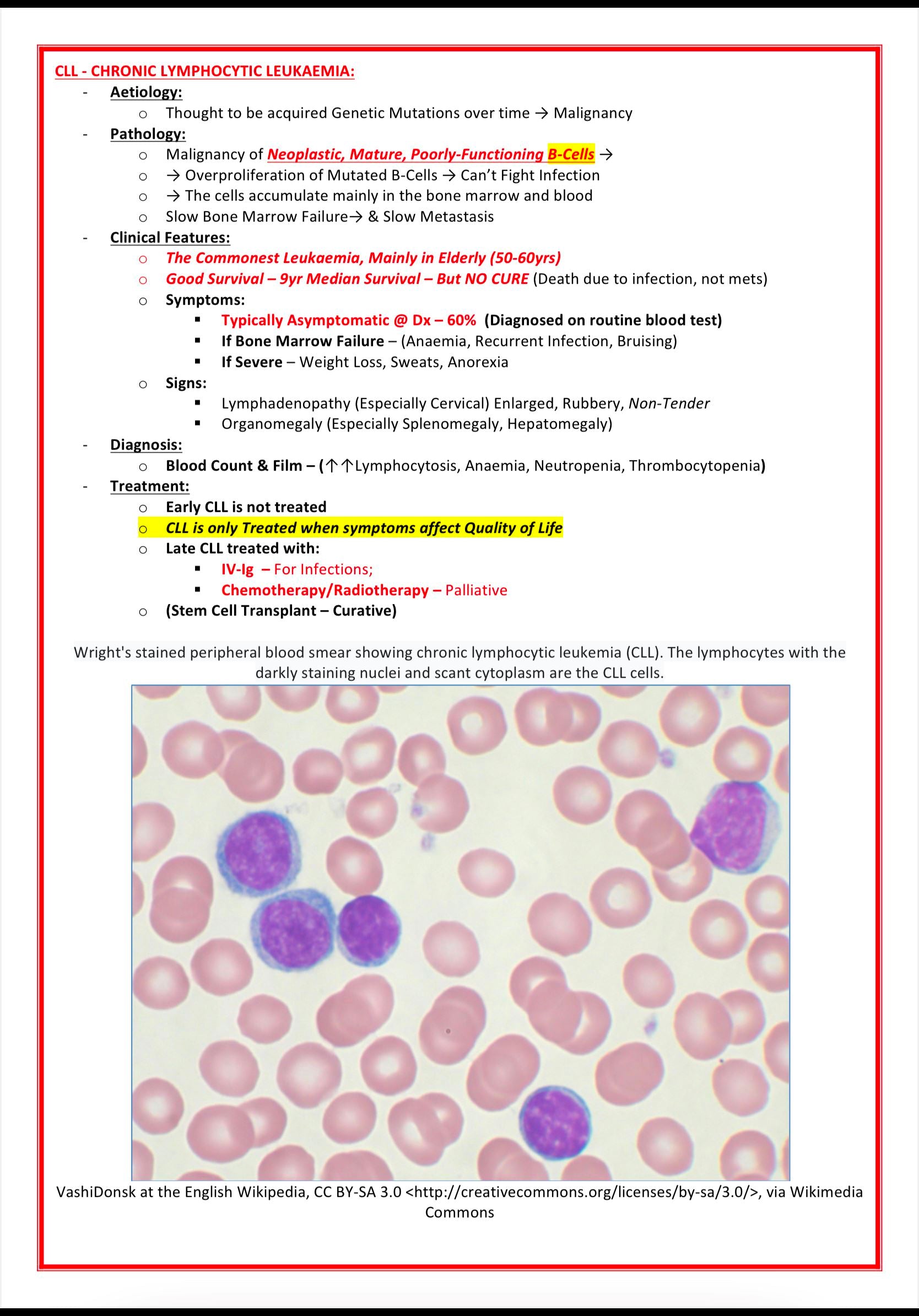 Haematology Notes MedStudentNotes