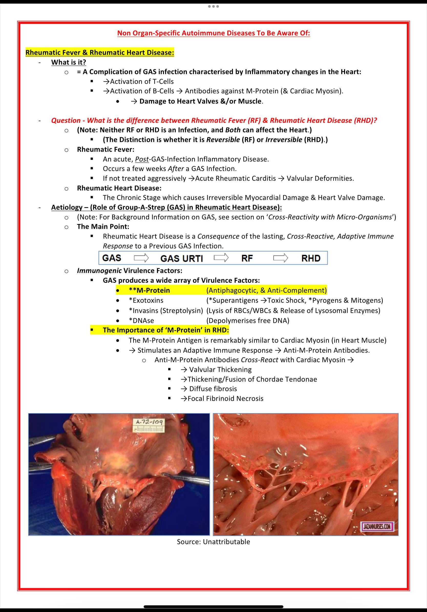 Immunology & Rheumatology MedStudentNotes