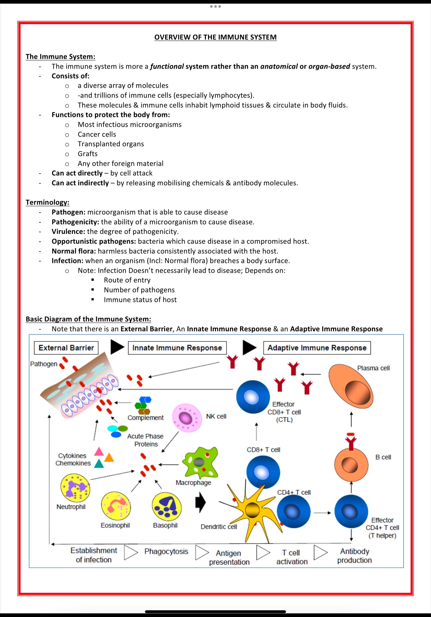 Immunology & Rheumatology MedStudentNotes