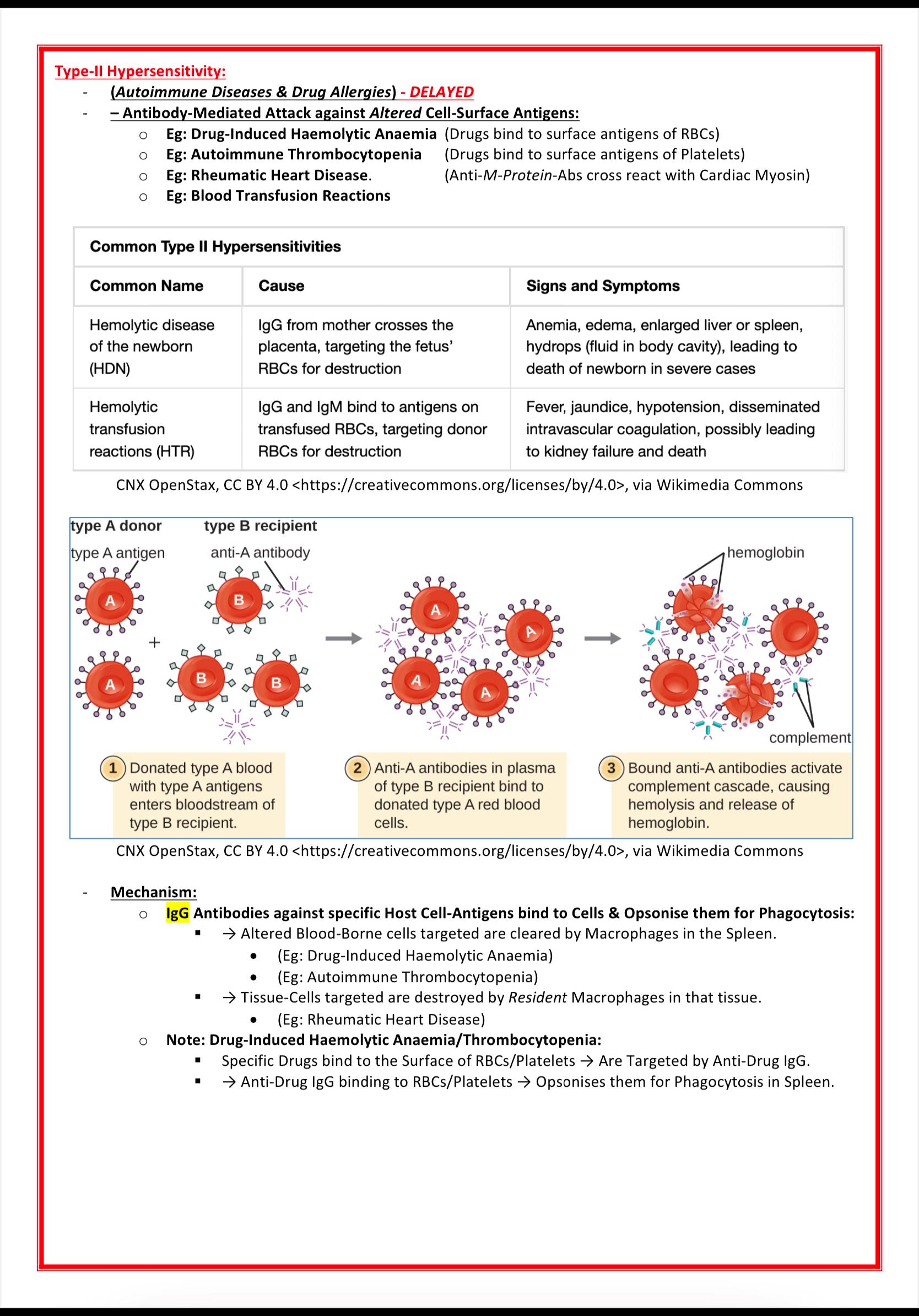 Immunology & Rheumatology MedStudentNotes