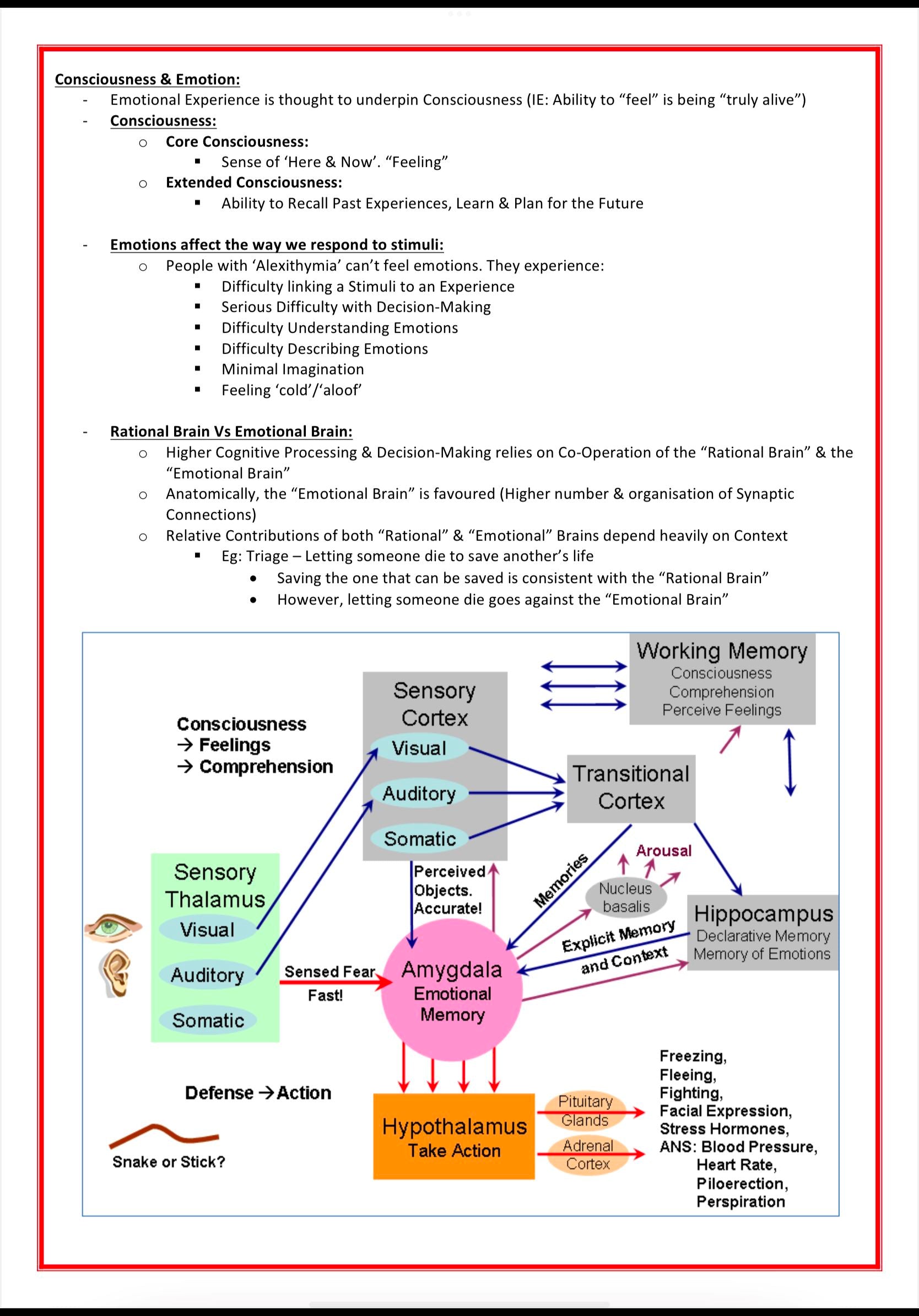 Mental Health & Psychiatry MedStudentNotes