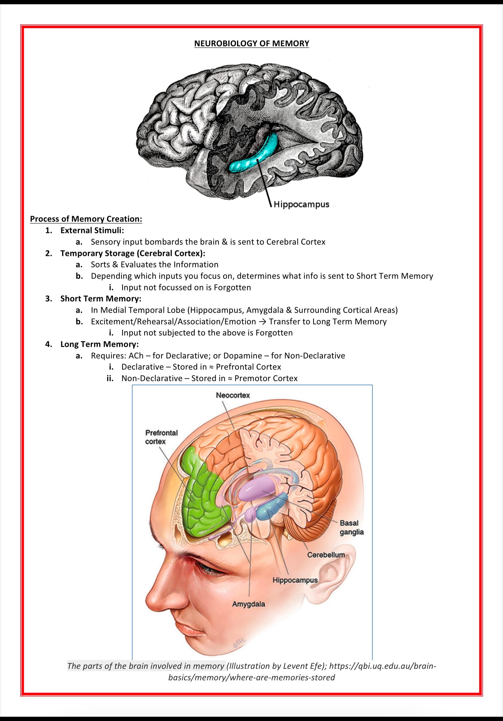 Mental Health & Psychiatry MedStudentNotes