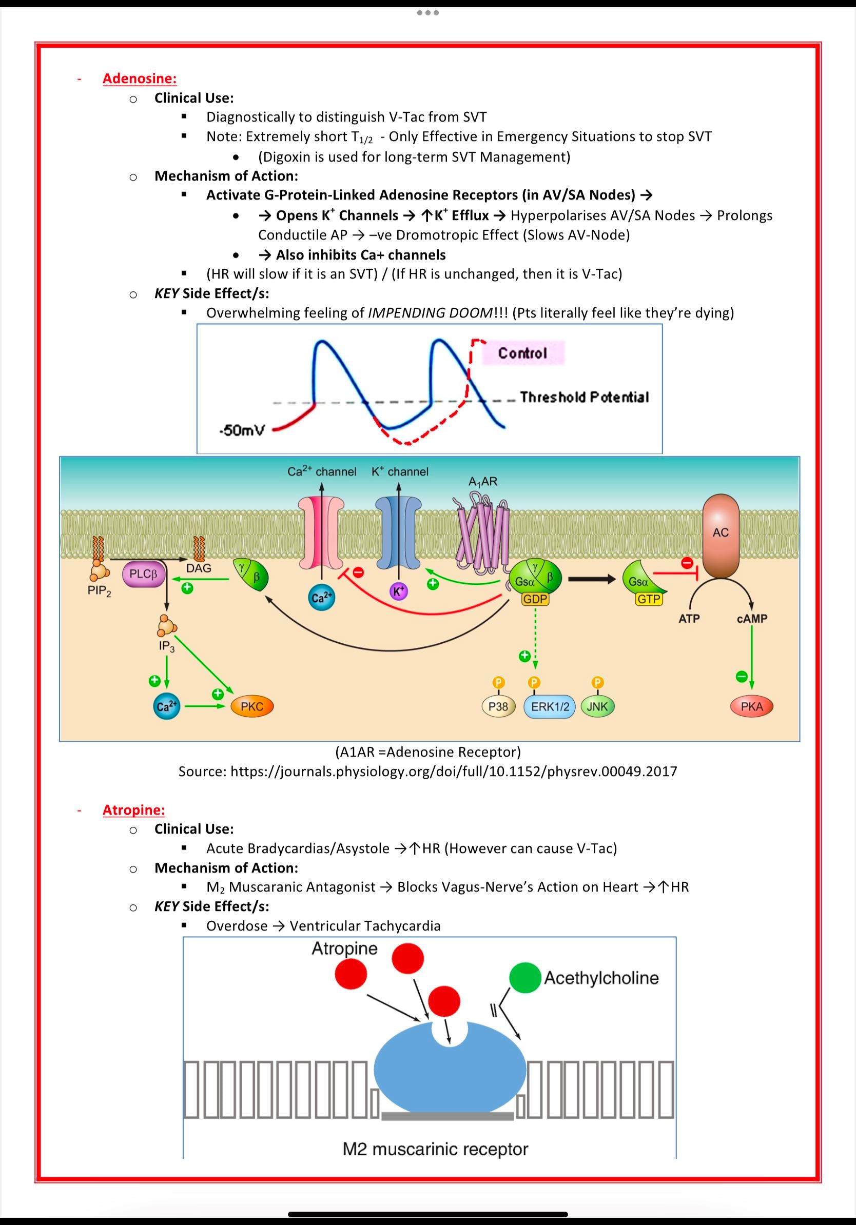Pharmacology & Toxicology MedStudentNotes