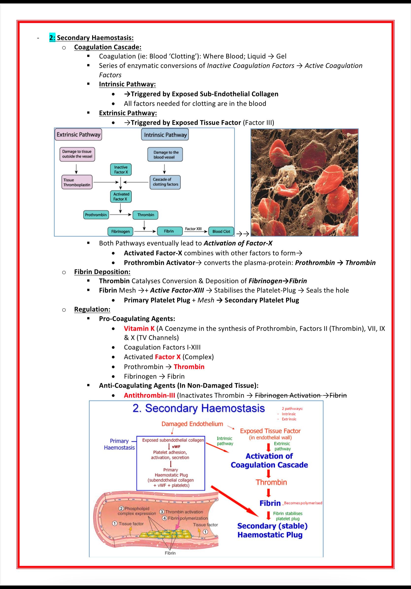 Pharmacology & Toxicology MedStudentNotes