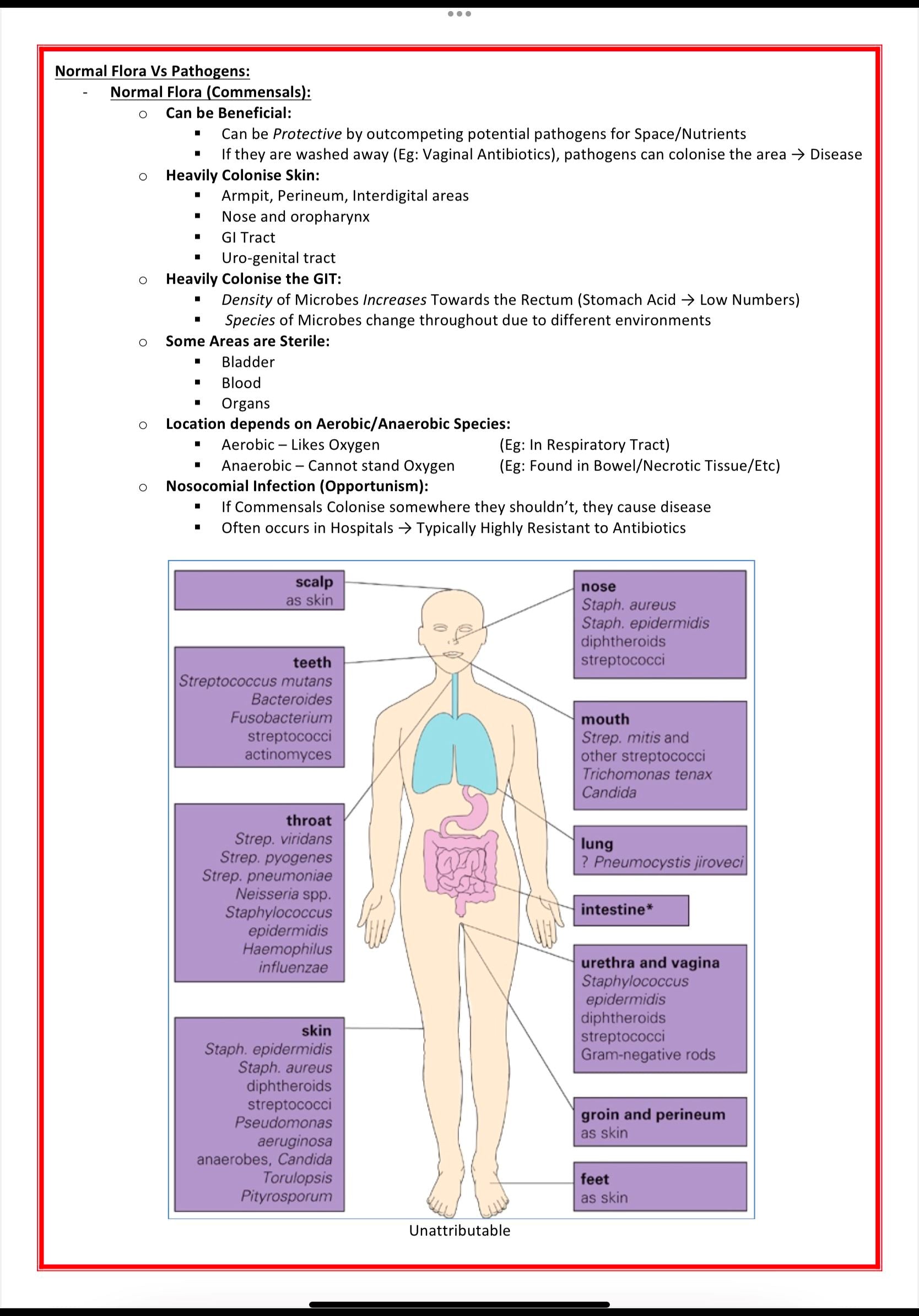 Public Health & Microbiology MedStudentNotes