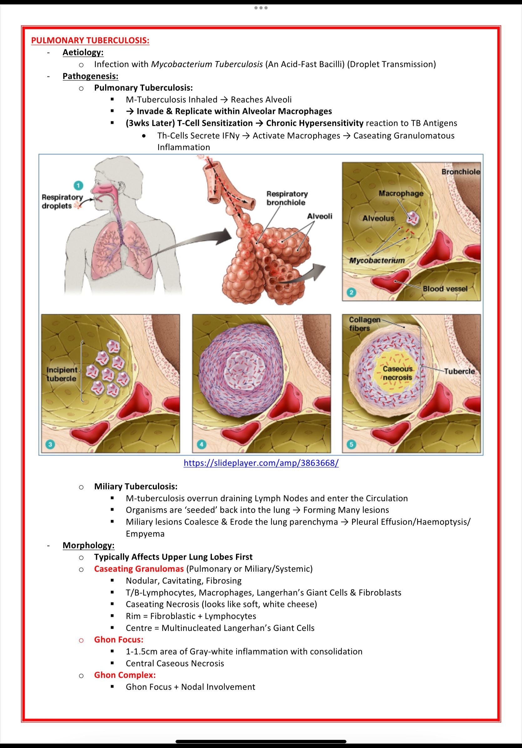 Public Health & Microbiology MedStudentNotes