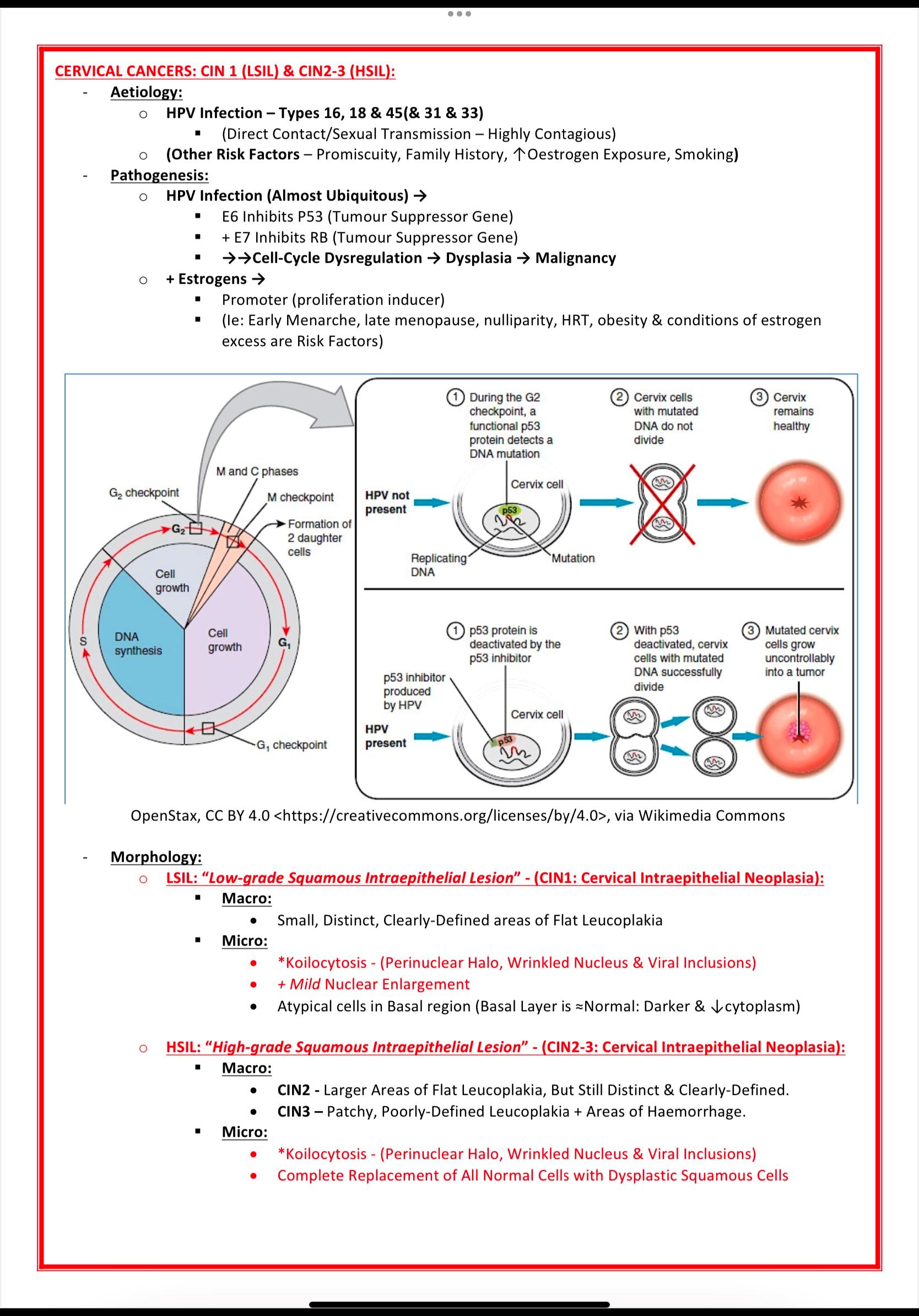 Sexual & Reproductive Health MedStudentNotes