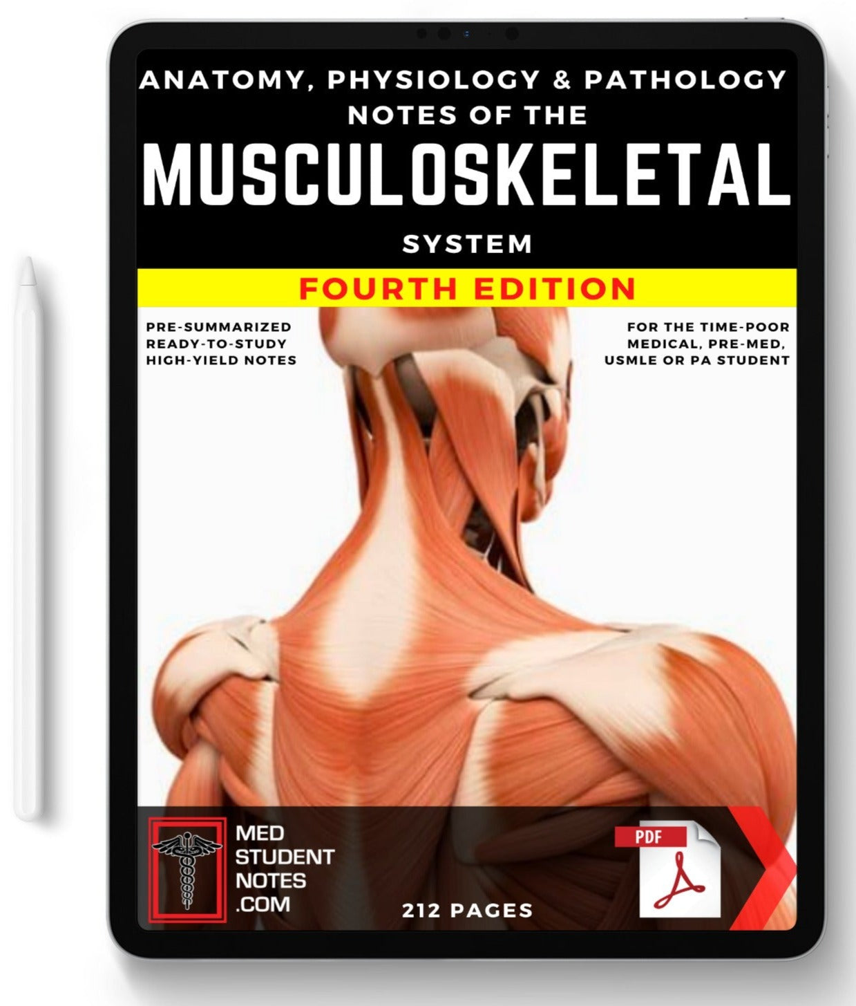 The Musculoskeletal System MedStudentNotes
