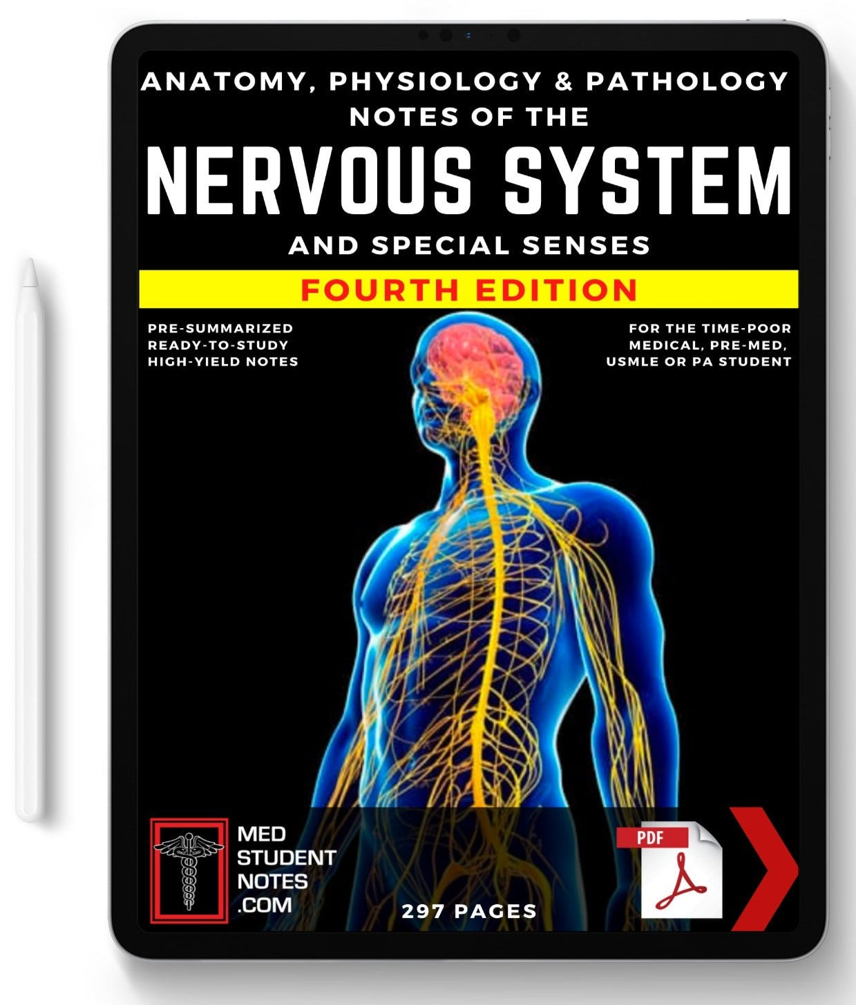 The Nervous System MedStudentNotes