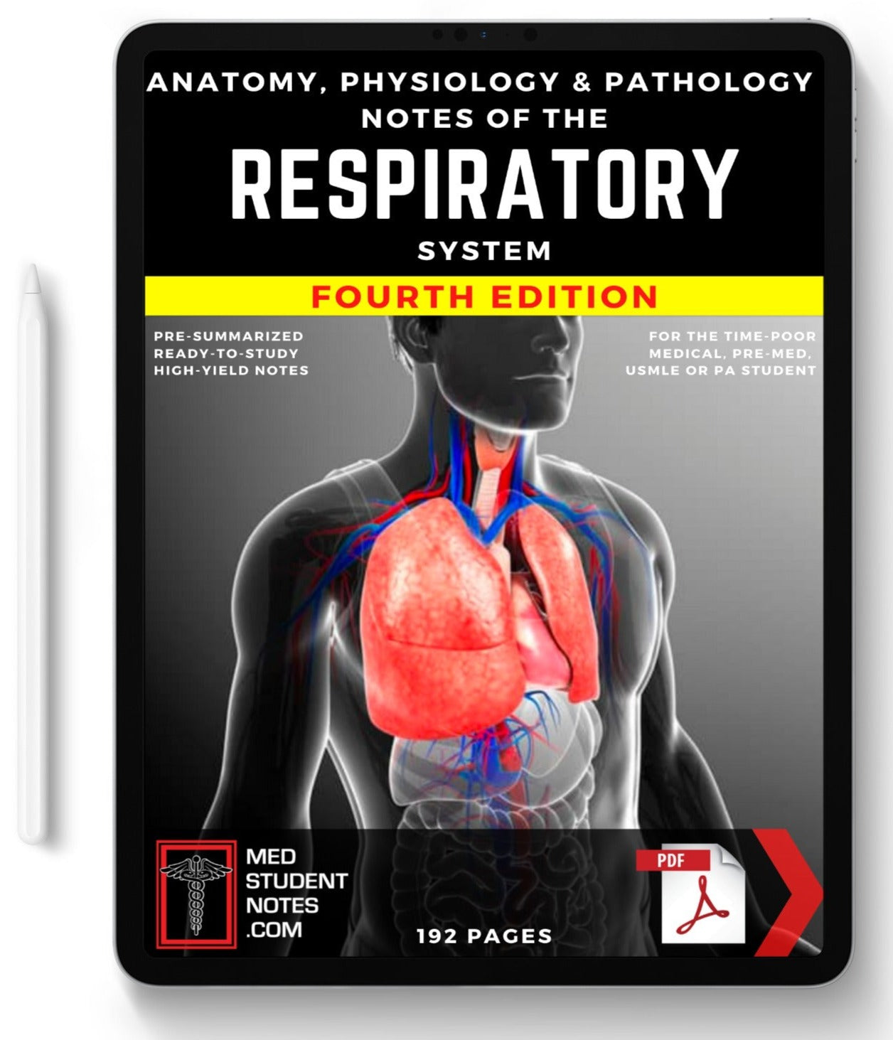 The Respiratory System MedStudentNotes