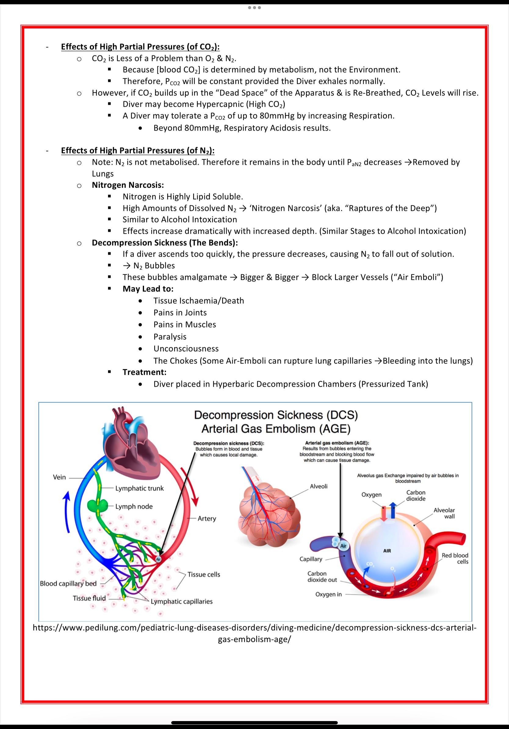 The Respiratory System MedStudentNotes