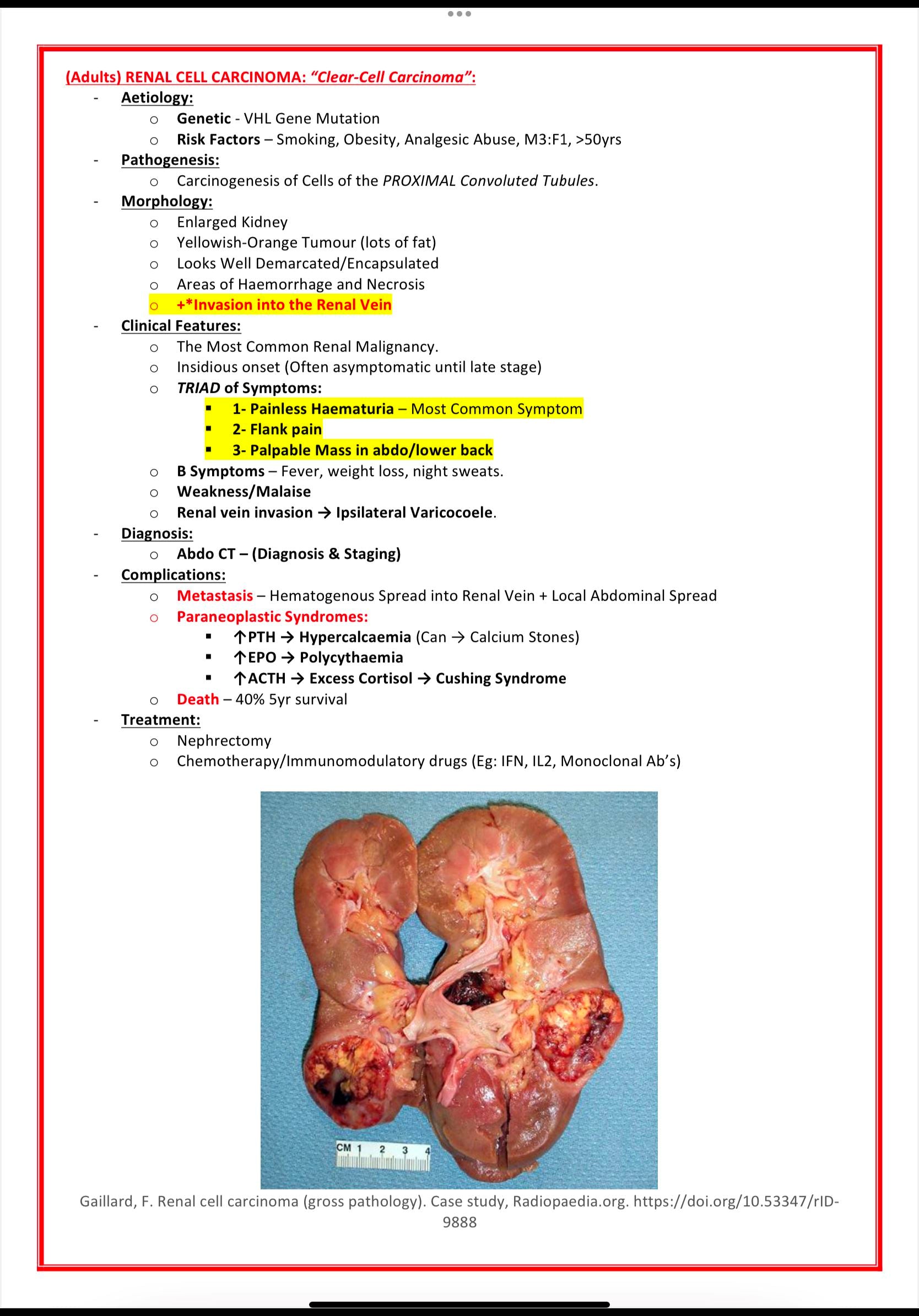 Urinary / Renal System MedStudentNotes